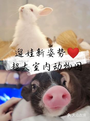 春光无限好,一起来遛娃!!