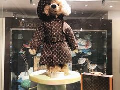 -济州岛泰迪熊博物馆