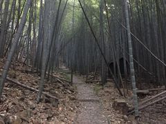 -穹窿山景区