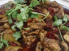 -农夫大盘鸡(经八路总店)