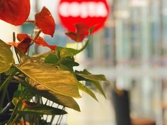 景观位-COSTA COFFEE(水游城店)