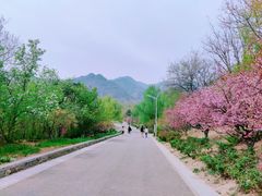 -鹫峰国家森林公园