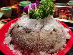 9秒鲜毛肚-蜀江龙火锅(339店)