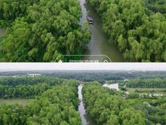 -大湾区中央湿地公园