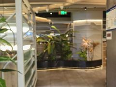 -湊湊火锅·茶憩(皇姑万象汇店)