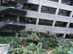 -黑龙江中医药大学附属第一医院