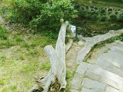 -南京市江宁方山