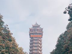 -塔子山公园
