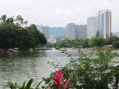 -西湖公园(鼓楼区)