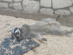 -海合安武汉极地海洋公园