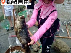 -硇洲岛旅游区