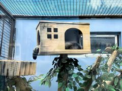 -青藏高原野生动物园