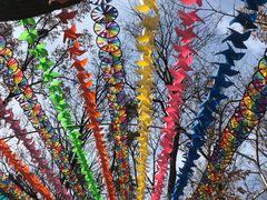 -沂蒙山旅游区云蒙景区(蒙山国家森林公园)
