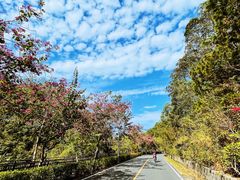 -红花湖景区