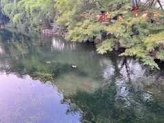 -西湖游船