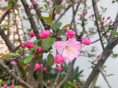 -杭州千岛湖开元度假村