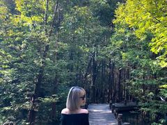 -桤木河湿地公园