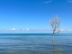 -青海湖二郎剑景区