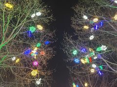 -南宫五洲植物乐园