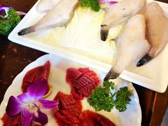 -红鼎坊·老成都火锅(新南门店)