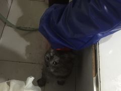 -酷狗靓猫宠物·洗护·美容·寄养(航北路店)
