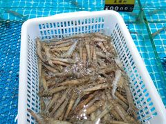 -梦都海鲜酒家(万达广场江桥店)