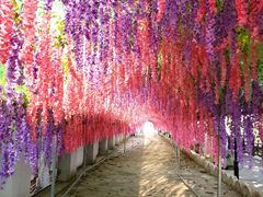 -河北村民俗体验园