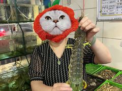 富贵虾姑-凯华海鲜火锅·传承三十六年