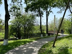 -白鹭湾湿地公园