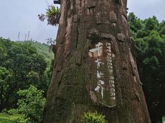 -青青世界