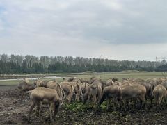 -溱湖国家湿地公园