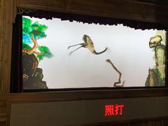 -乌镇东栅景区-应家桥皮影戏馆