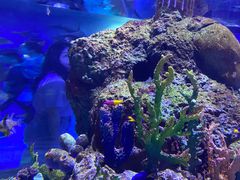 -梦幻海洋王国(吾悦广场张家港店)