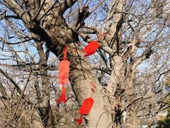 -狼山风景名胜区