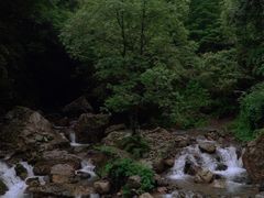 -西岭雪山大飞水景区