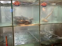 -蛙鱼道美蛙鱼自助火锅(新耍都店)