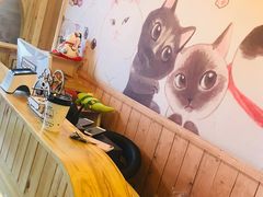 -猫的茶·猫咖