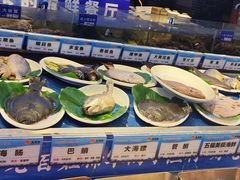 -鱼满舱·鲜活海鲜·正宗鲁菜