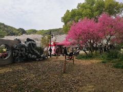 -苏州上方山国家森林公园
