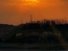 -青龙山国家森林公园