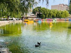 -团结湖公园