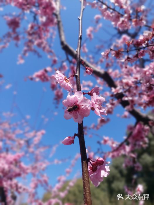 静安雕塑公园图片