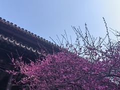 -衣裳街历史文化街区