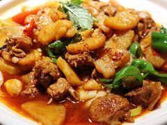 卧底-大灰狼(中心书城店)