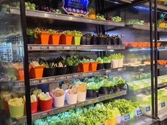 -舒友海鲜姿造(白鹭洲店)