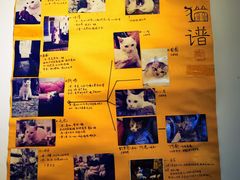 -小雅青年旅舍(平江路店)