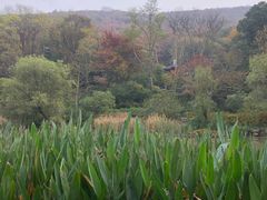 -南山风景名胜区
