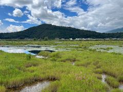 -腾冲北海湿地