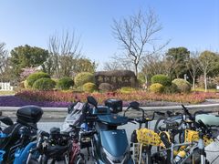 -新江湾城公园