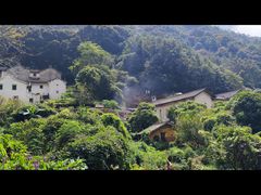 -雁南飞茶田景区